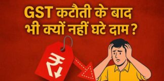 जीएसटी कटौती के बाद भी क्यों नहीं घटे दाम? जनता को राहत या कॉरपोरेट को मुनाफा?