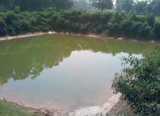 जल संरक्षण से आजीविका सशक्तिकरण की नई पहल’मोर गांव-मोर पानी’ से बदलेगी गांवों की तस्वीर डबरी निर्माण से सिंचाई व्यवस्था होगी मजबूत, किसानों को वर्ष भर मिलेगा पानी