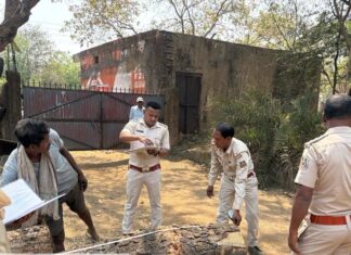वन विभाग की बड़ी कार्रवाई: कुसमुरा के उमाशंकर सॉ मिल को किया गया सील
