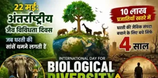 22 मई: अंतर्राष्ट्रीय जैव विविधता दिवस, जब धरती की सांसें थमने लगती हैं