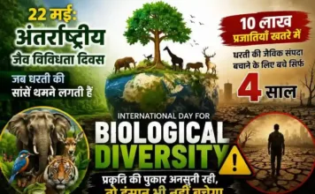 22 मई: अंतर्राष्ट्रीय जैव विविधता दिवस, जब धरती की सांसें थमने लगती हैं