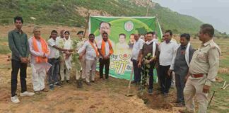 वन महोत्सव में उमड़ा जनसहभागिता का उत्साह, सोनबरसा-भैनापारा में हुआ व्यापक वृक्षारोपण