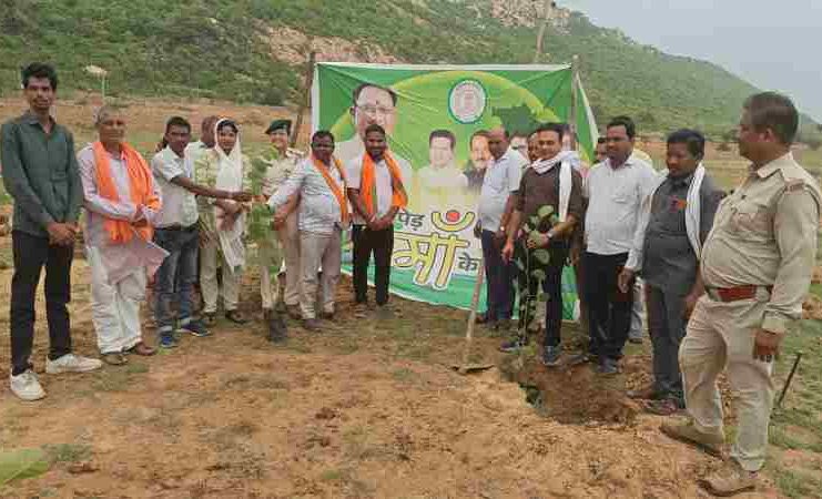 वन महोत्सव में उमड़ा जनसहभागिता का उत्साह, सोनबरसा-भैनापारा में हुआ व्यापक वृक्षारोपण
