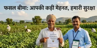 फसल बीमा की अंतिम तारीख 31 जुलाई: कोरबा के किसान प्राकृतिक आपदा से बचाव के लिए ऐसे करें तुरंत आवेदन