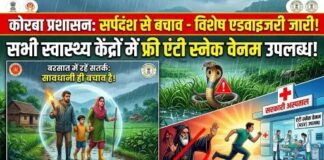 कोरबा में सर्पदंश से बचाव के लिए एडवाइजरी जारी: सभी स्वास्थ्य केंद्रों में एंटी स्नेक वेनम उपलब्ध