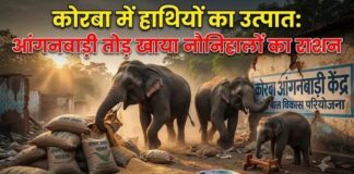 कोरबा में हाथियों का उत्पात: आंगनबाड़ी तोड़ खाया नौनिहालों का राशन