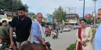 कोरबा में आवारा मवेशियों से हादसों पर लगेगी लगाम, कलेक्टर के निर्देश पर सड़कों पर उतरे अफसर, मवेशियों को बांधी जा रही रेडियम बेल्ट