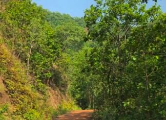 दूधीटांगर-पुटकापहाड़ सड़क विवाद: वन विभाग ने प्रकाशित खबर को बताया भ्रामक